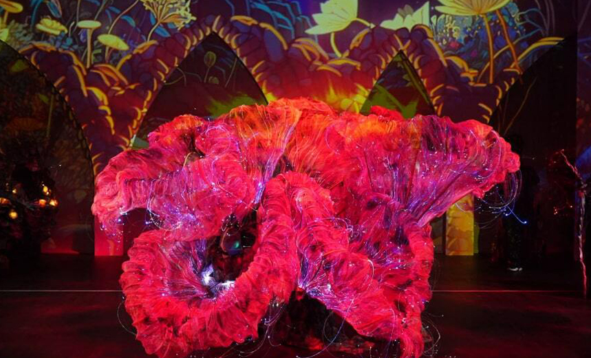 Страна забытых сказок